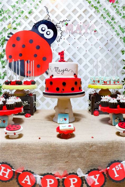 Lady Bug Theme Birthday Party Ideas Photo 2 Of 54 Ladybug Party