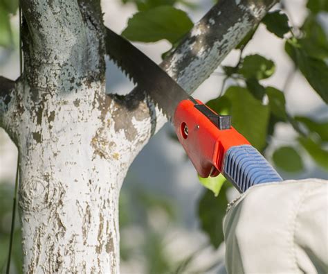 How To Use A Pruning Saw Properly And Safely Homes Gardens