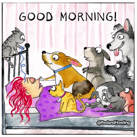 Good Morning Dogs GIFs - Get the best GIF on GIPHY