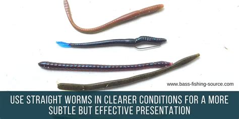 Plastic Worms For Bass Fishing