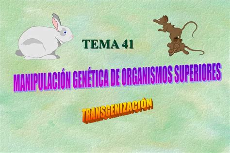 PPT MANIPULACIÓN GENÉTICA DE ORGANISMOS SUPERIORES PowerPoint