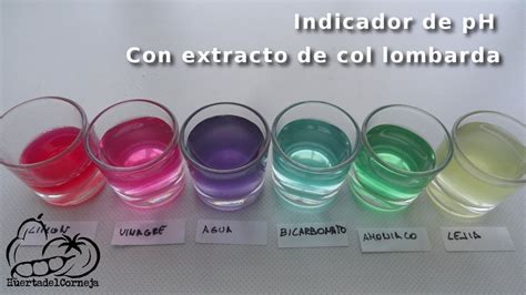 Como Hacer Un Indicador De PH Con El Extracto De Col Lombarda YouTube