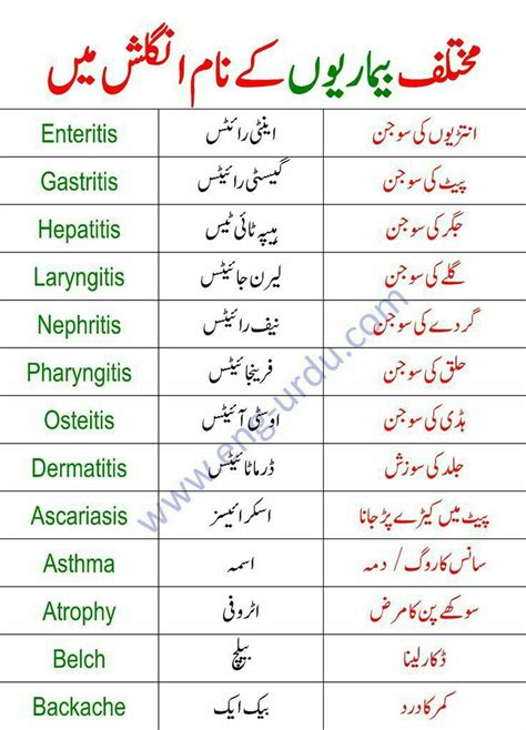 Diseases Names In English With Urdu Meanings Artofit