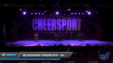 Bluegrass Cheercats Jade Jaguars [2020 Senior Medium 3 D2 Day 1] 2020 Cheersport National