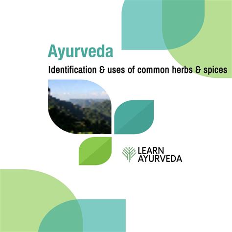 Identification and Uses of Common Herbs and Spices - Learn Ayurveda