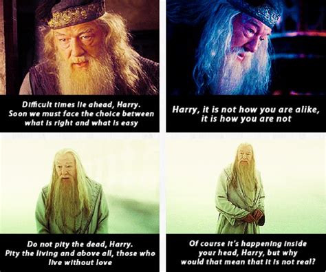 104 best images about Harry Potter - Dumbledore on Pinterest | Goblet ...