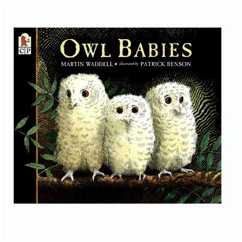 Owl Babies Book | Becker's School Supplies