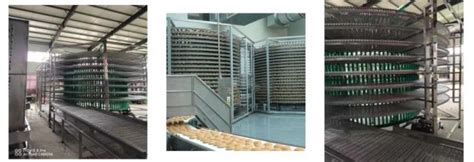 Beverage Bottle Conveyor Bread Cooling Tower Food Industry Spiral Conveyor