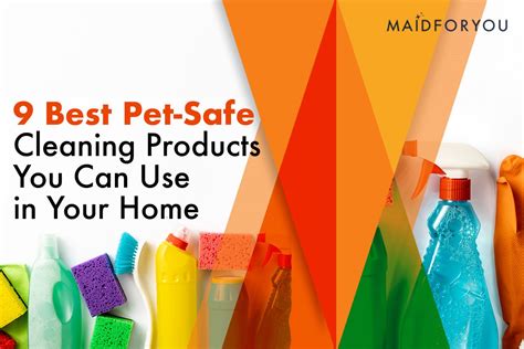 Buyer's Guide: The Best Pet-Safe Cleaning Products | MaidForYou