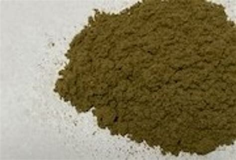 Mullein Leaf Powder - Holistic Herbal Solutions, LLC