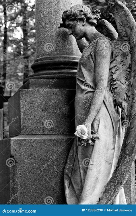 The Sorrowful Angel Grieving Angel With A White Rose Near The C Stock