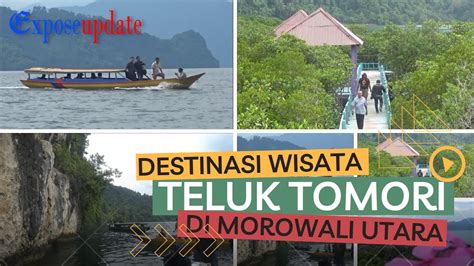 DESTINASI WISATA TELUK TOMORI DI MOROWALI UTARA YouTube