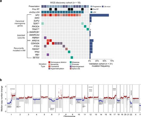 The Landscape Of Driver Mutations And Copy Number Alterations In Download Scientific Diagram