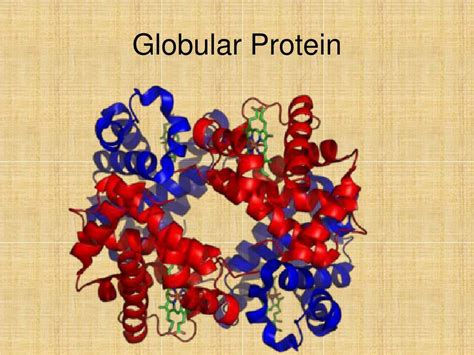 Ppt Proteins Powerpoint Presentation Free Download Id 6898789