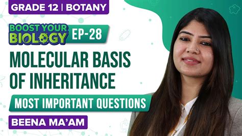 Neet Questions Series Chapter 6 Molecular Basis Of Inheritance