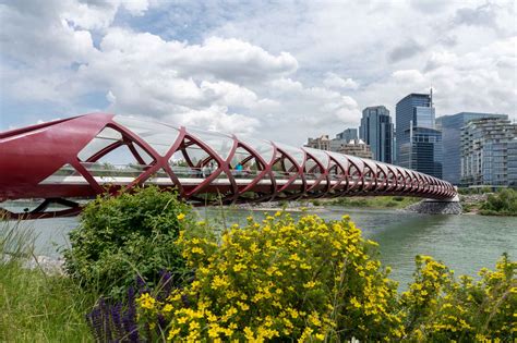 Things To Do In Calgary June 2023 Visa PELAJARAN