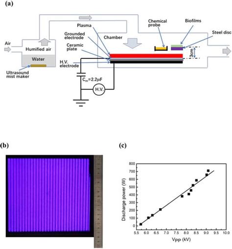 IJMS Free Full Text Inactivation Of E Coli S Aureus And