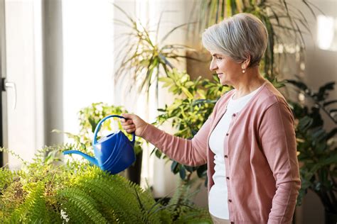 ¿cuál Es La Mejor Hora Del Día Para Regar Las Plantas