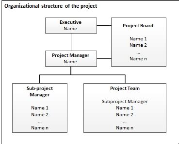 Project Management Team Structure