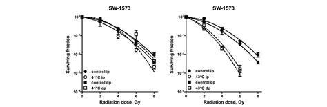 Radiation Survival Curves Of Confluent Cultures Of Sw Cells Human