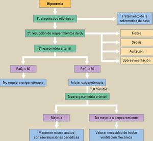 Indicaciones De La Oxigenoterapia En El Paciente Ambulatorio E