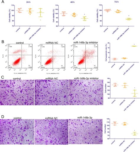 Long Non Coding Rna Linc Overexpression Suppresses Viability