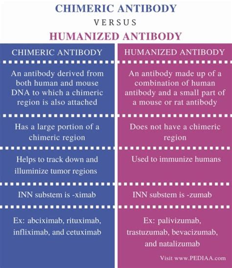 Difference Between Chimeric and Humanized Antibody - Pediaa.Com