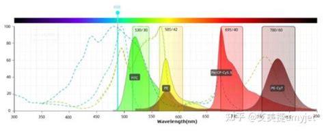 常见流式抗体荧光染料及percp Cy55串联染料 知乎