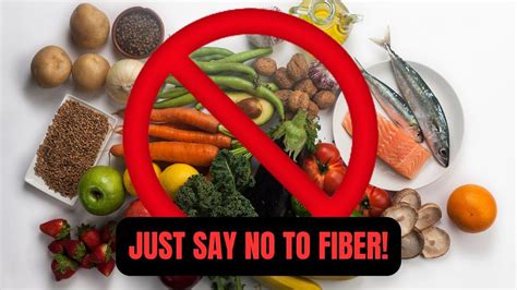 You Do Not Need Fiber To Be Healthy With Dr Shawn Baker Youtube