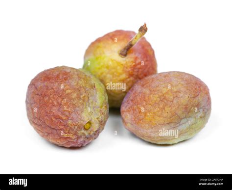 Shrivel shriveled hi-res stock photography and images - Alamy