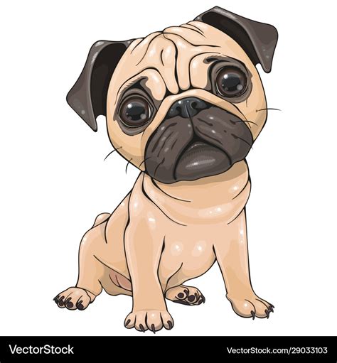 Cartoon Pug Dog Isolated On A White Background Vector Image