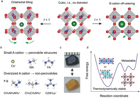 Polymorphism In Metal Halide Perovskites A Crystal Structures Of An