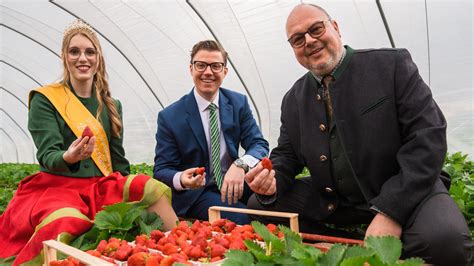 Saisonstart mit Verzögerung Erste Erdbeeren in der Region