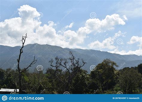 Hilly View of Nilgiri Hills of Tamil Nadu Stock Image - Image of burial ...