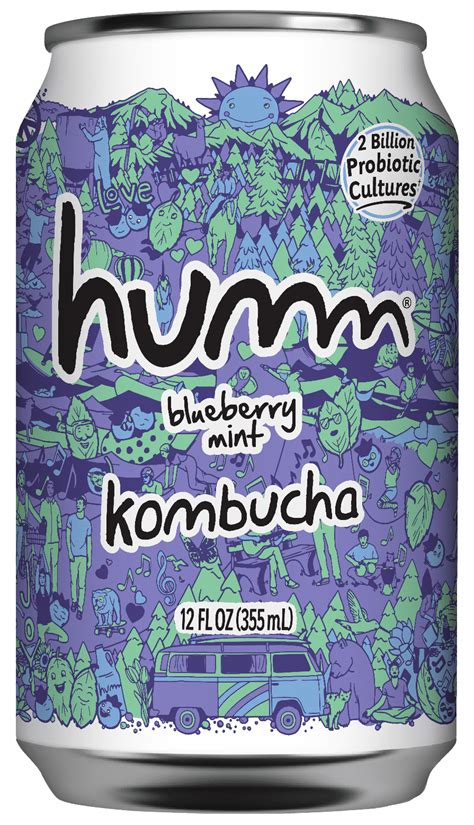 Humm Kombucha Blueberry Mint G008025 Grovara