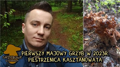 Grzybowe Wyprawy Pierwszy Majowy Grzyb W Roku Grzyby