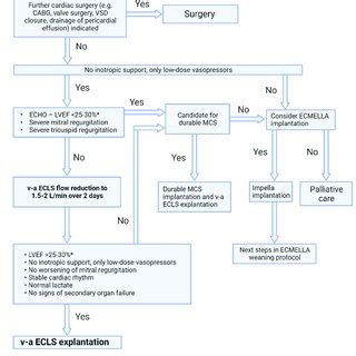 PDF Temporary Mechanical Circulatory Support In Cardiogenic Shock