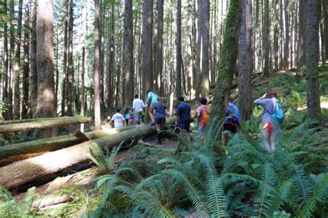 Quadra Island Hiking Trails - kayak