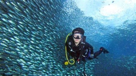 Indahnya Kampung Arborek Di Raja Ampat Wisata Papua Barat Yang