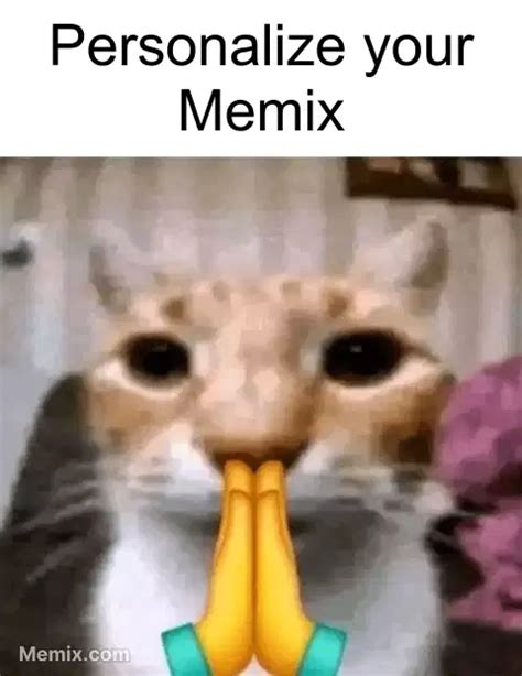 Cat Pray Emoji Meme, GIF - Share with Memix