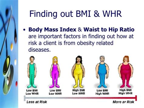 Anthropometric Tests Bmi And Whr Session 3