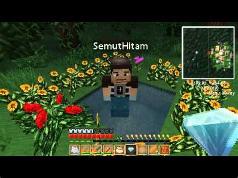 Minecraft Minecrack W SemutHitam YouTube