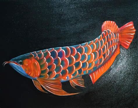 Red Asian Arowana Painting By Denews Fronteras Fine Art America