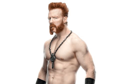 Sheamus Profile Career Stats Faceheel Turns Titles Won And Gimmicks