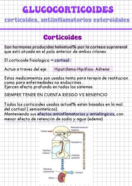 Corticoides fármaco Valentina Ledesma uDocz