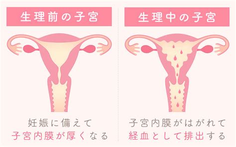 生理不順の原因と改善方法・妊娠の可能性【公式】心斎橋駅前婦人科クリニック