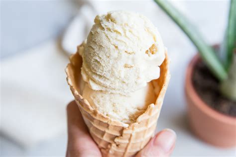 Vanilla Bean Ice Cream