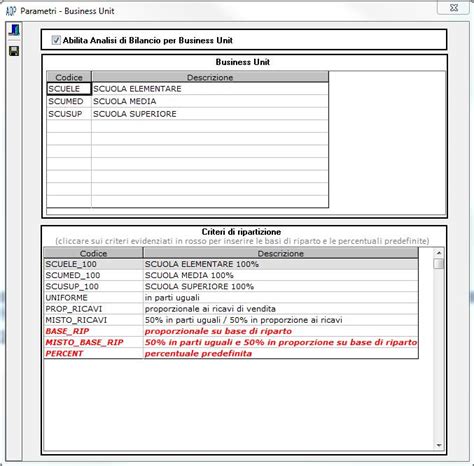 Analisi Di Bilancio Per Business Unit Manuale Prodotto