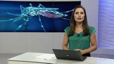 Boa Noite Esp Rito Santo Es Registra Mais De Mil Casos De Dengue E