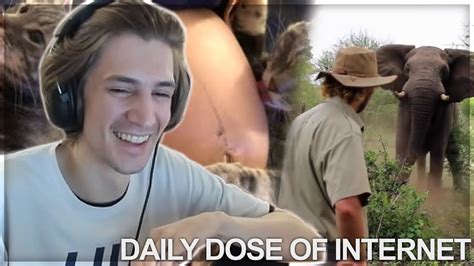 Xqc Reacts To Daily Dose Of Internet Youtube